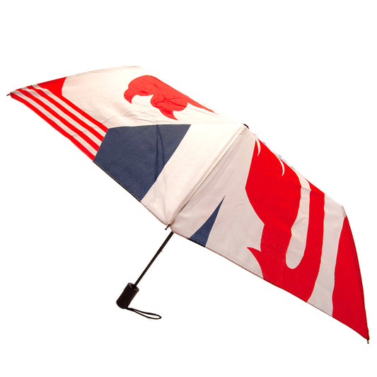 England FA Umbrella
