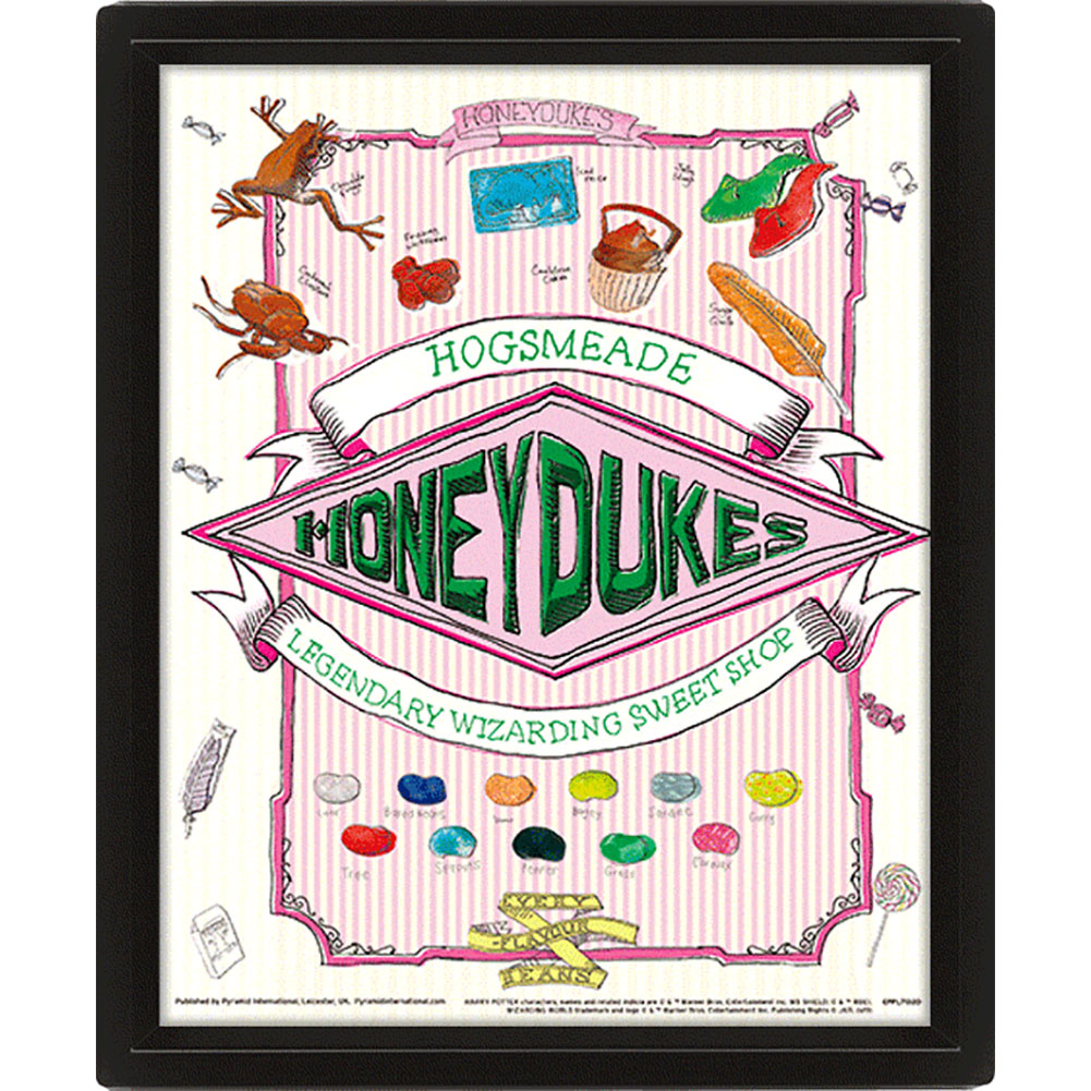 Harry Potter Honeydukes Framed 3D Picture